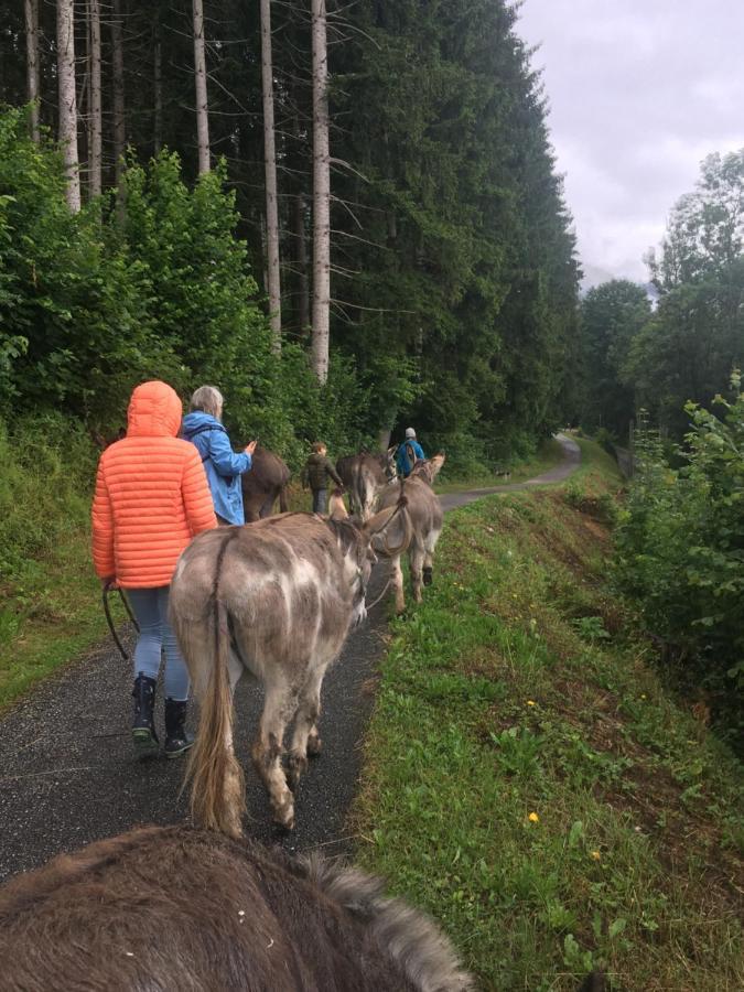 Wengerwirt Zur Laube Bed and Breakfast Weng im Gesause Exteriör bild