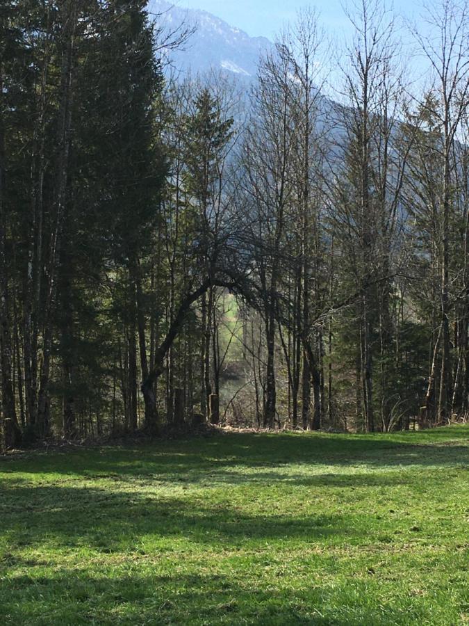 Wengerwirt Zur Laube Bed and Breakfast Weng im Gesause Exteriör bild
