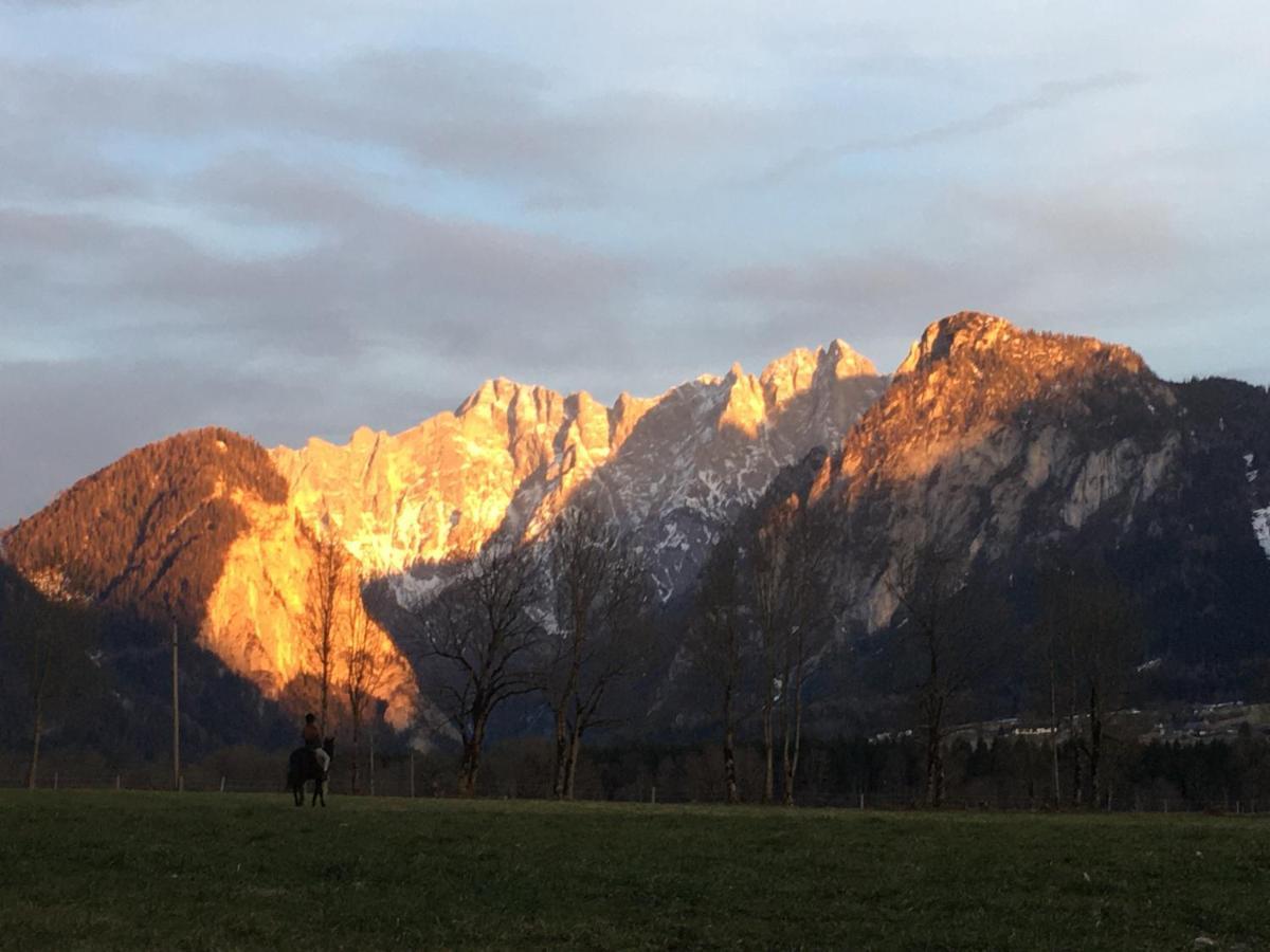 Wengerwirt Zur Laube Bed and Breakfast Weng im Gesause Exteriör bild