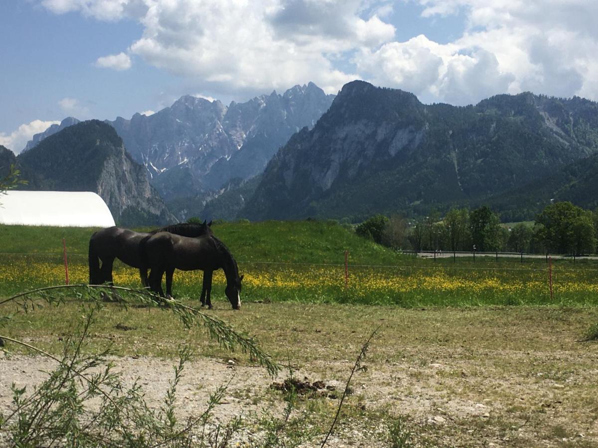 Wengerwirt Zur Laube Bed and Breakfast Weng im Gesause Exteriör bild