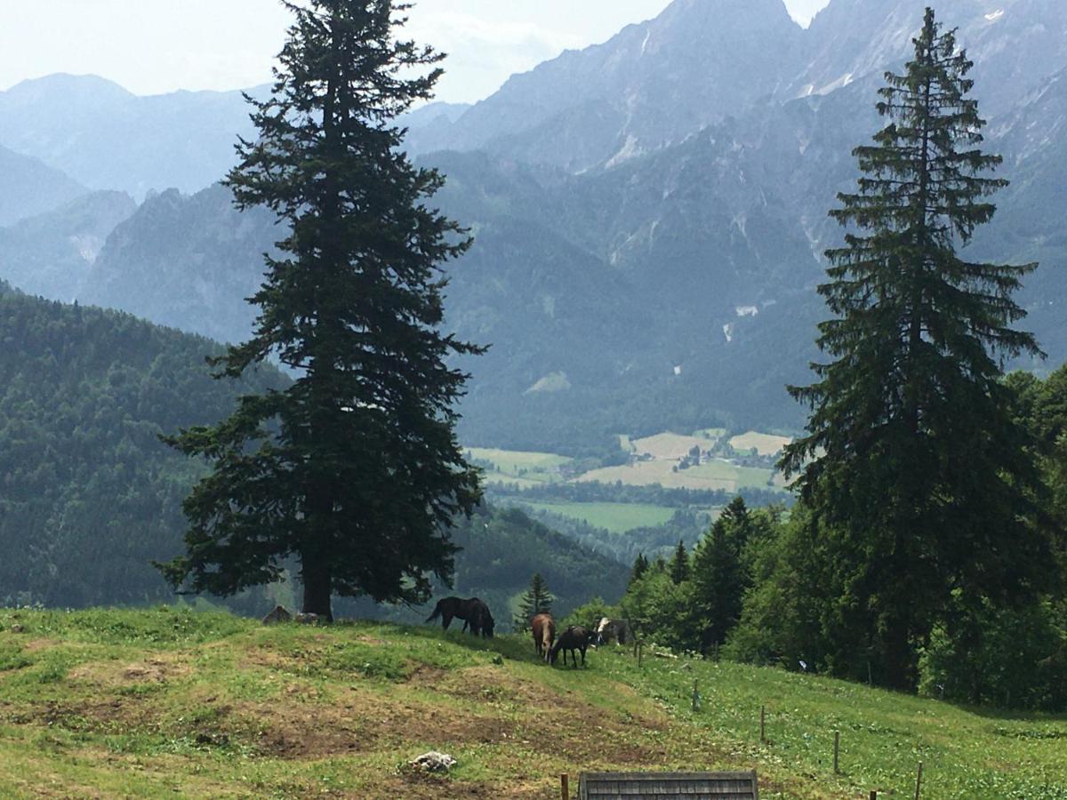 Wengerwirt Zur Laube Bed and Breakfast Weng im Gesause Exteriör bild