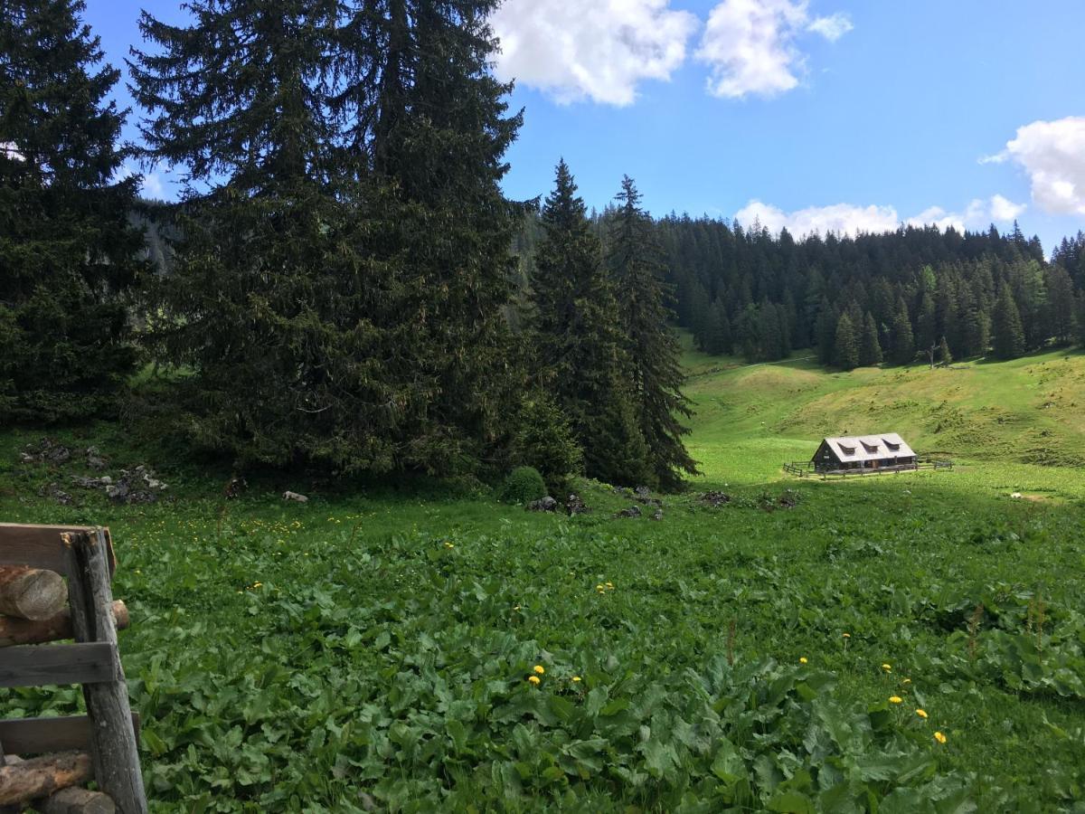 Wengerwirt Zur Laube Bed and Breakfast Weng im Gesause Exteriör bild
