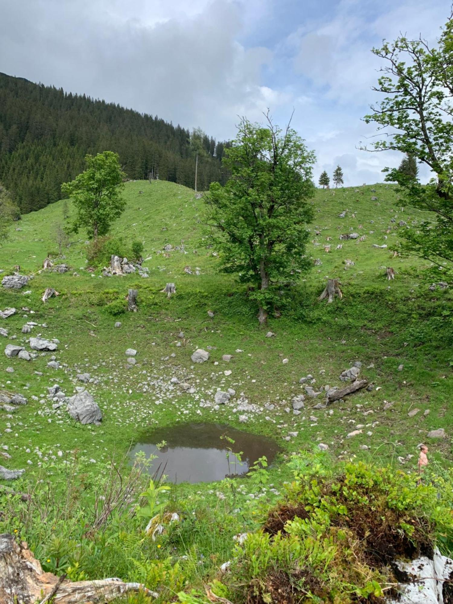 Wengerwirt Zur Laube Bed and Breakfast Weng im Gesause Exteriör bild